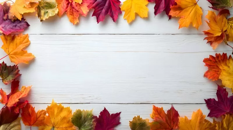 Herbstliche Blätterrahmen Dekoration auf weißem Hintergrund