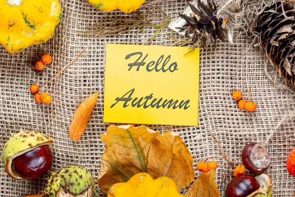 Herbstlicher Hintergrund mit Kastanien und bunten Blättern umgeben eine Hello Autumn Schrift auf gelbem Papier
