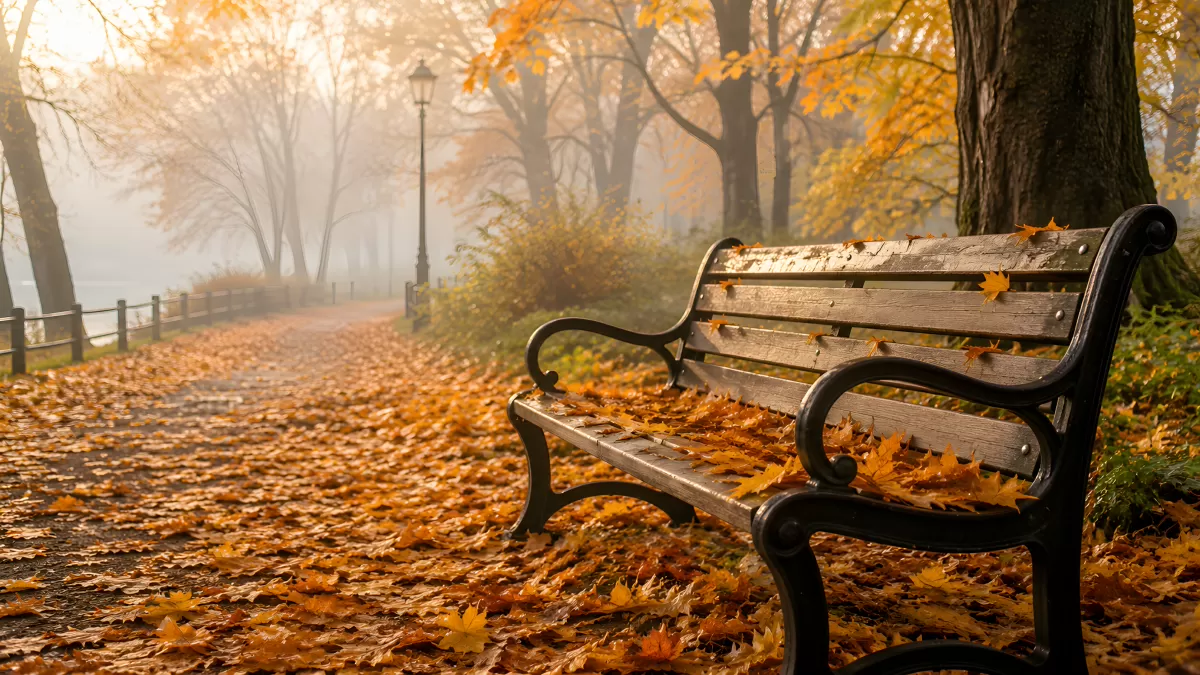 Herbstlicher Parkweg mit Bank im Morgennebel