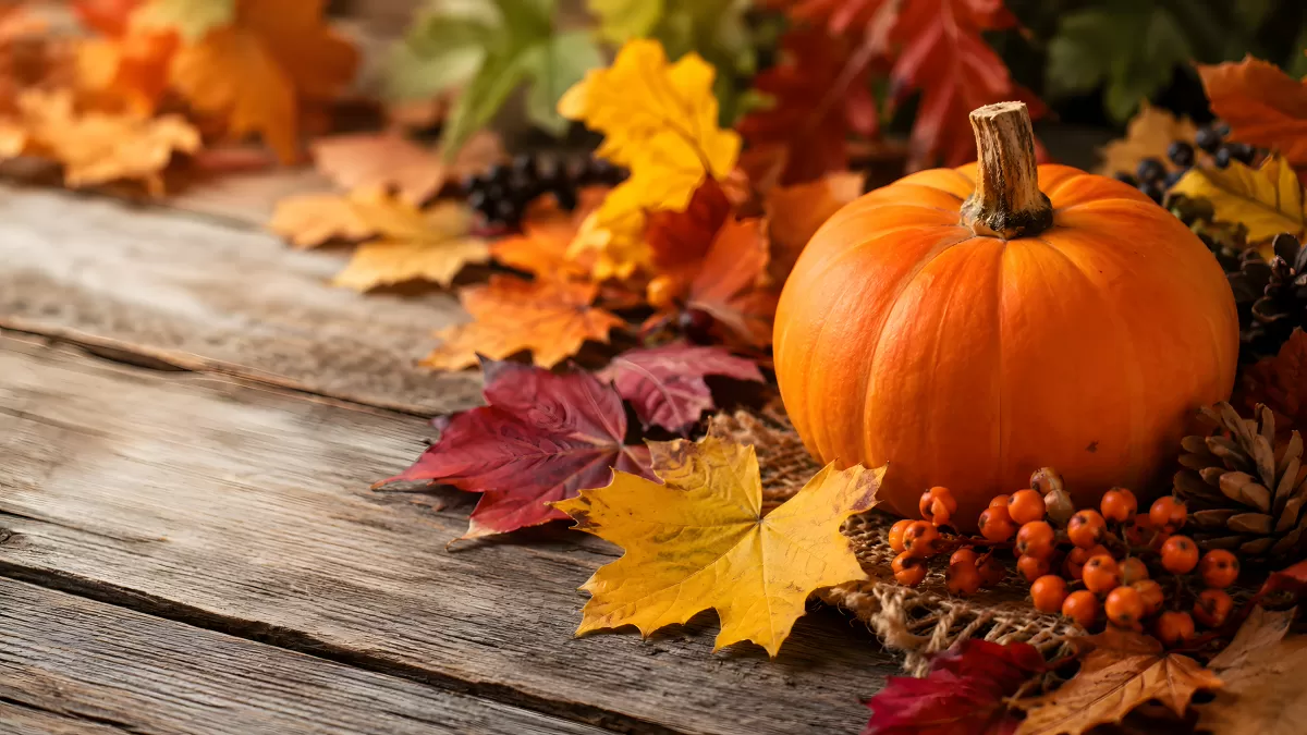 Herbststimmung mit Kürbis und buntem Laub auf Holz