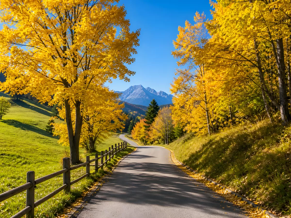 Herbststraße mit goldenen Bäumen und Bergpanorama