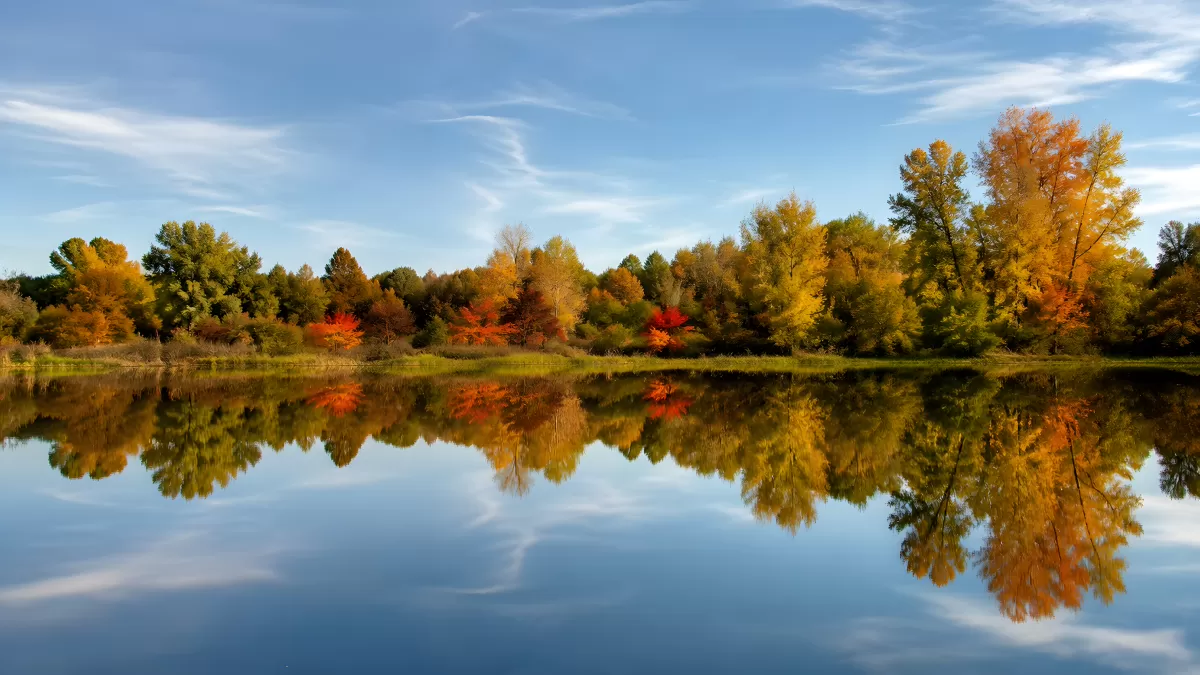 Herbstwald spiegelt sich in stillem See