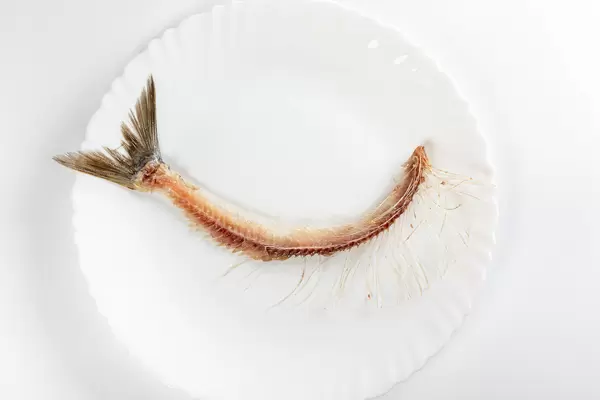 Herring skeleton bones on white plate, top view