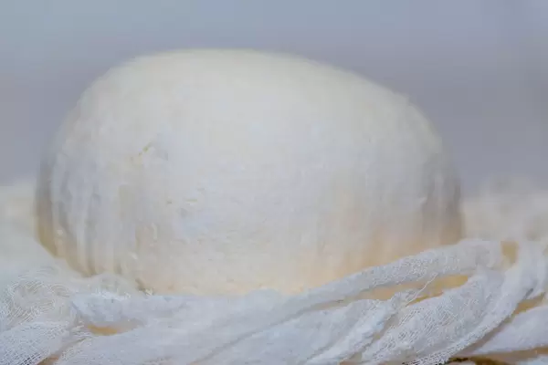 Herstellung von Hüttenkäse vor weißem Hintergrund