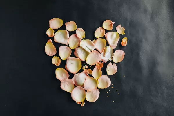 Herz aus Blumenblättern vor dunklem Hintergrund