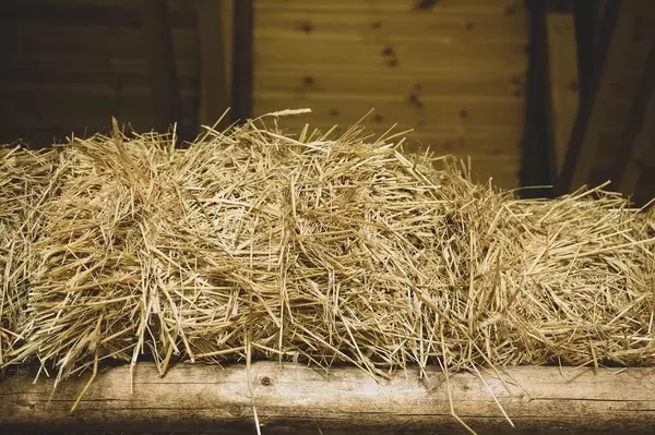 Hey stacked on a barn