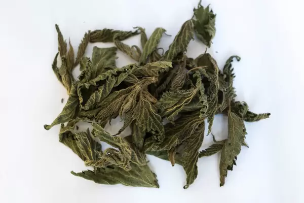 High Angle View of Dry Nettle  Leaves on the White Background