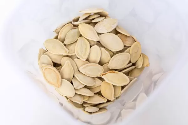 High Angle View of the Roasted Pumpkin Seeds in Shell