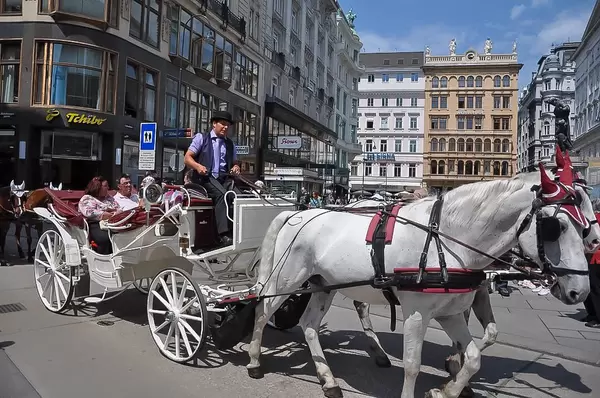 Hochzeitskutsche mit Schimmel in der Großstadt in Österreich