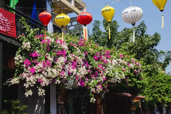 Hoi Ann Silk Lantern