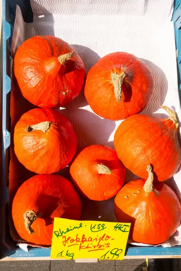 Hokkaidokürbis - Straßenfest, Köln