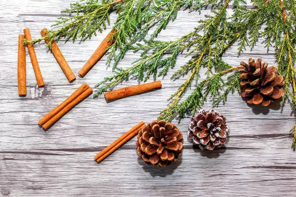 Holday Background with Pinecone, Cinnamon Stick and Tree Branch