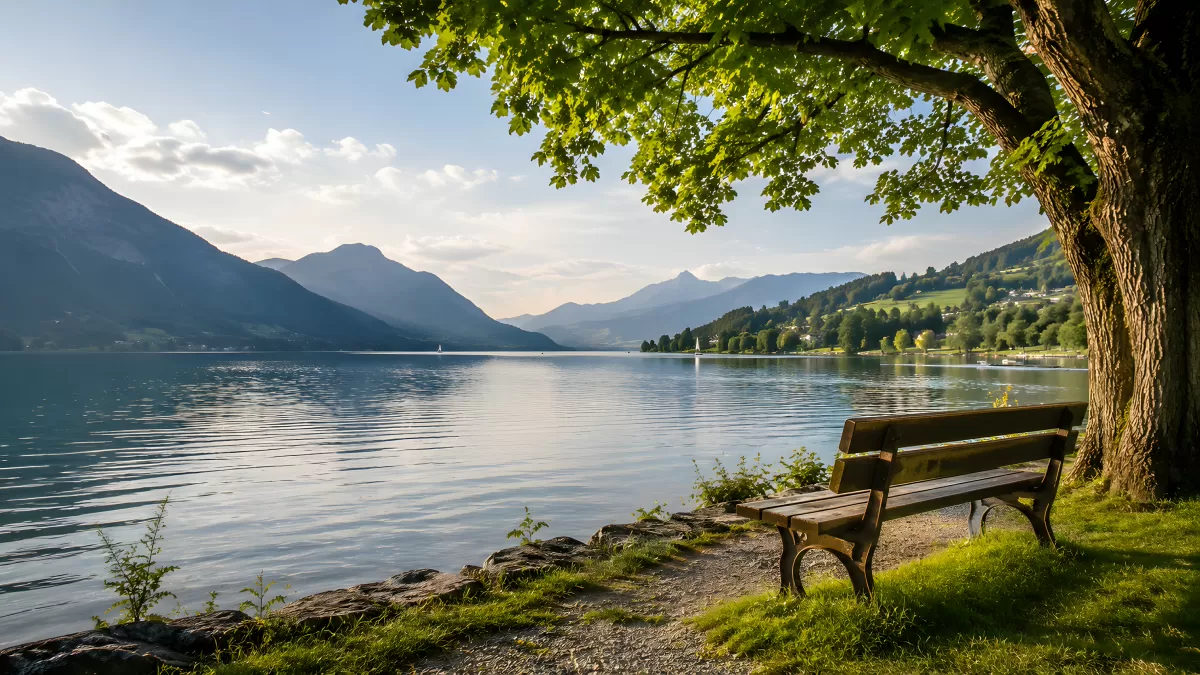Holzbank am Bergsee unter altem Laubbaum im Sommer