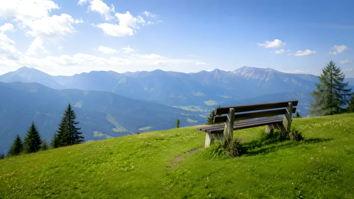 Holzbank auf Almwiese mit Bergpanorama im Sommer