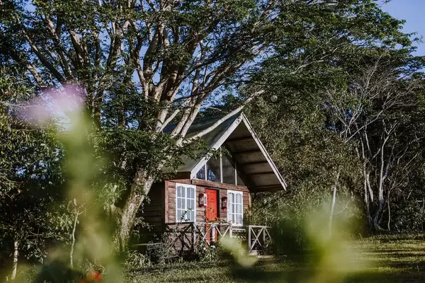 Hölzernes Ferienhaus steht unter Baum in grüner Umgebung in Don Salvador, Negros, Philippinen