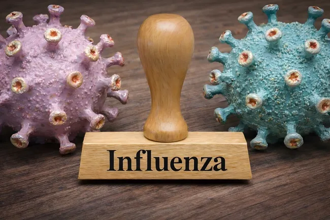 Holzmodell und Coronavirus-Modell - Symbolbild Influenza