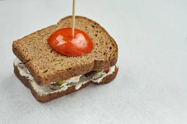 Homemade sandwich made with toasted bread slice and fresh vegetables