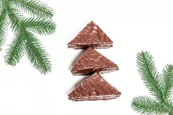 Honey chocolate cakes on a white background with Christmas tree branches