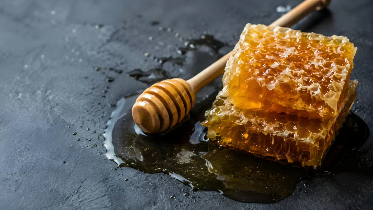 Honigwabe mit Holzlöffel auf dunklem Untergrund