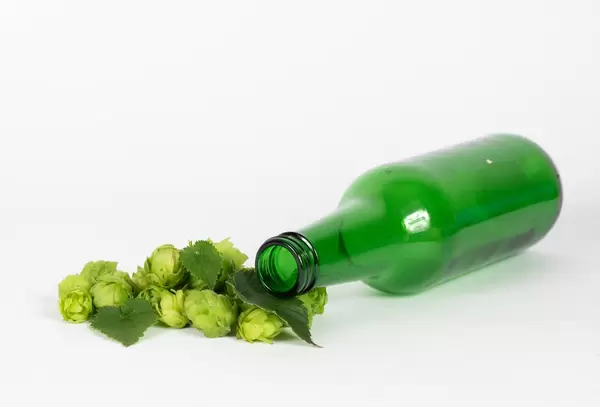 Hops with empty beer bottle