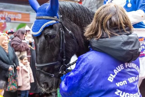 Horse riders and horse-drawn carriages are a large part of the tradition of the Carnival in Cologne. Here a horse parading with the traditional carnival society of the Blaue Funken