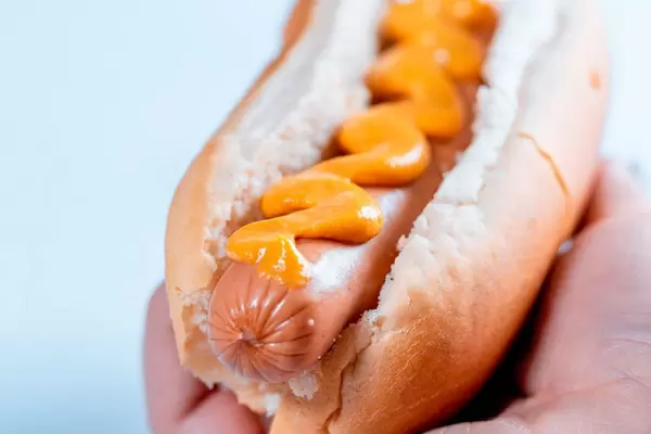 Hot dog with mustard  Flip 2019