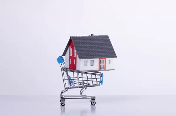 House in a shopping cart