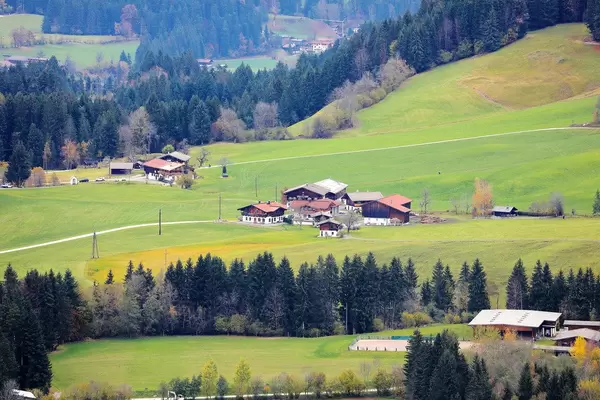 House in Ellmau, Austrian resort (Flip 2019)