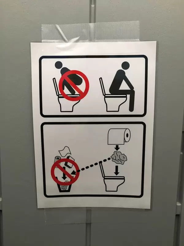 How to use a Western Toilet