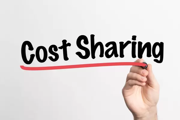 Human hand writing Cost Sharing on whiteboard