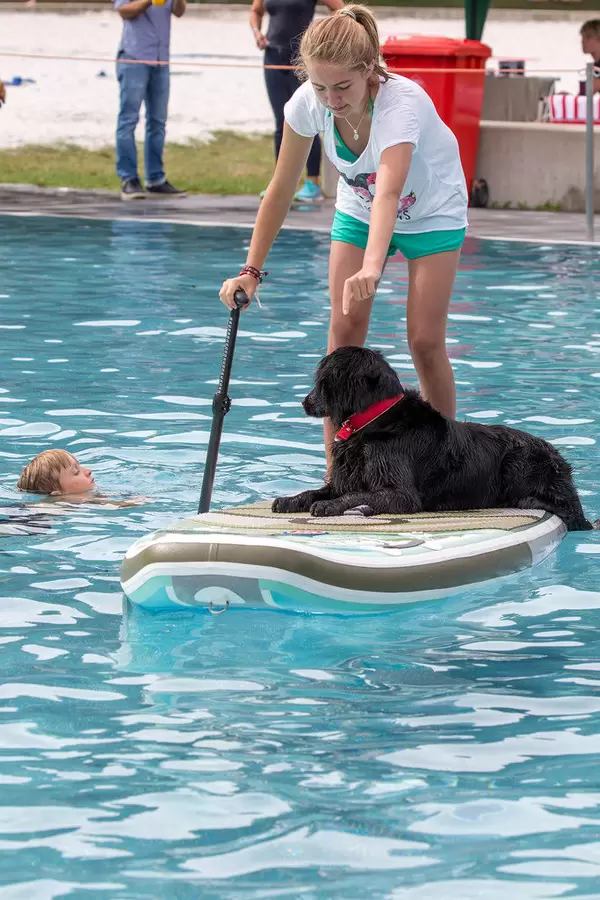 Hund auf SUP Board