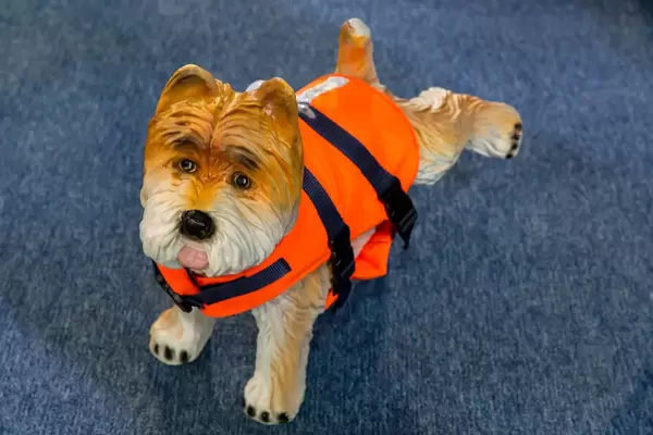Hund in einer Schwimmweste als Spielzeug - Boot Düsseldorf 2018