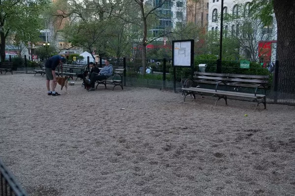 Hundebereich im Park in New York City, USA
