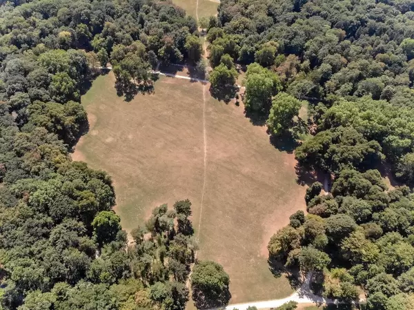 Hundefreilauffläche im Stadtwald Köln