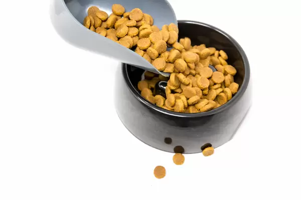 Hundekroketten aus der Schaufel in eine schwarze Hundeschüssel gießen