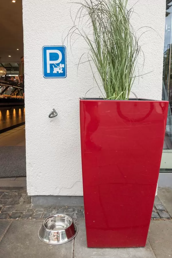 Hundeparkplatz mit Fressnapf vor einem Geschäft