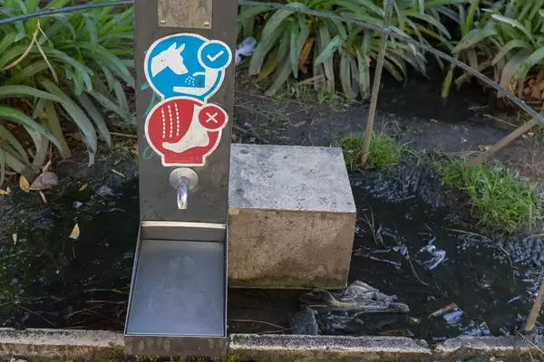 Hundetränke in einem Park