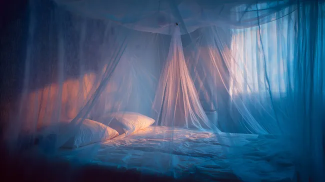 Idyllisches Schlafzimmer mit himmelblauem Moskitonetz