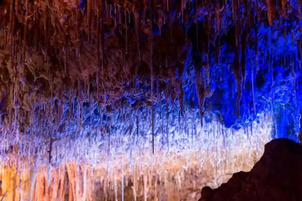 Illuminated stalactites on the roof of one of the caves at Coves dels Hams, Porto Cristo, Majorca