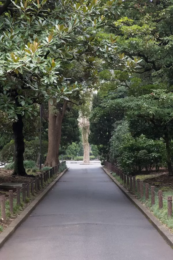 Imperial Palace East Gardens Ninomaru in Chiyoda, Tokyo