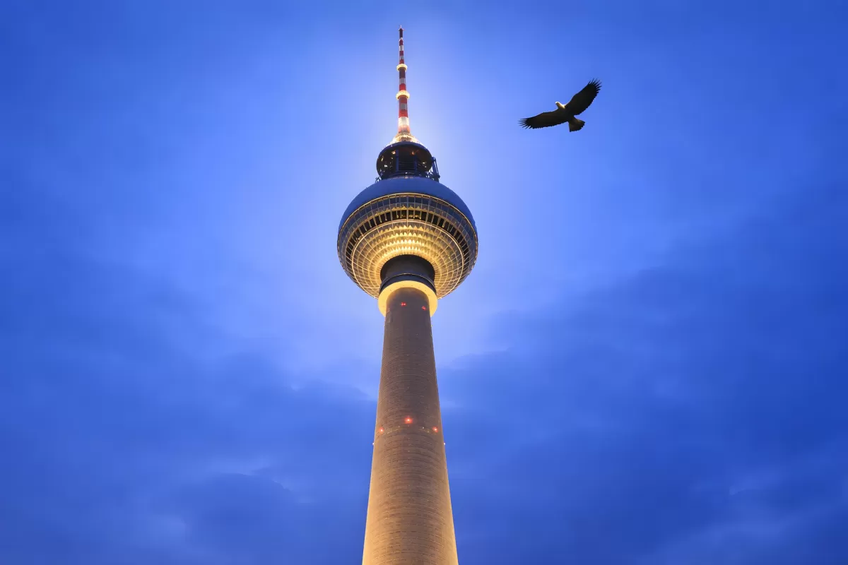 Imposanter Berliner Fernsehturm bei Nacht mit kreisender Taube