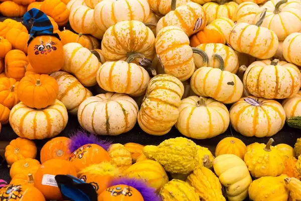 In Vorbereitung auf Halloween: breites Sortiment an Kürbissen im Supermarkt