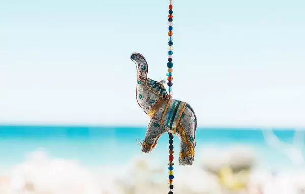 Indian elephant decoration on sea background. Interior .