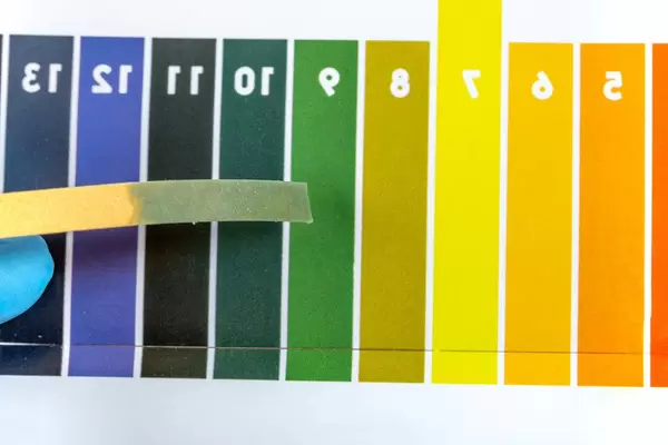 Indicator paper with alkaline testing (Flip 2020)