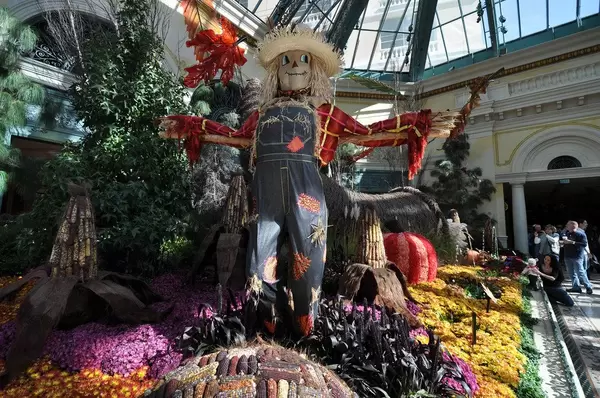 Indoor-Garten in San Francisco