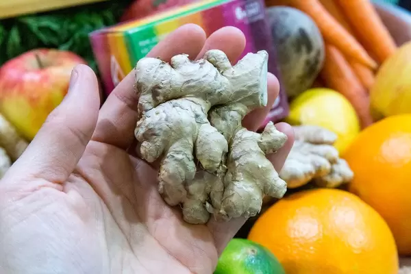 Ingwer in der Hand gehalten vor einem Frucht und Gemüse Hintergrund