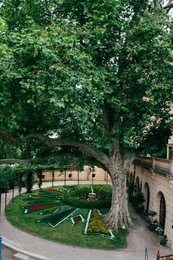 Inner garden of Schwerin with rose garden below the huge green tree