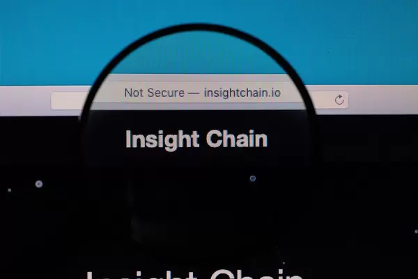 Insight Chain logo under magnifying glass