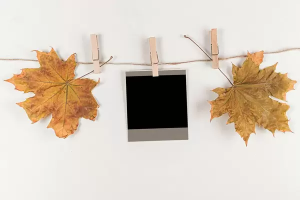 Instant photo and dry autumn leaves hanging on a rope with wooden clothespins