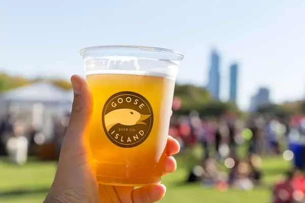Interesting logo, tasty beer: Goose Island Beer Company